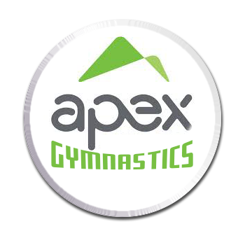 APEX TEAM—2025